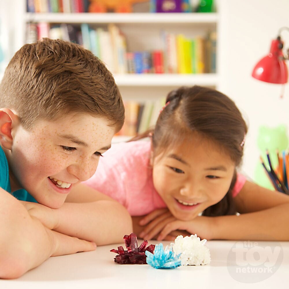 Crystal Growing Experimental Kit | Henry Bear's Park